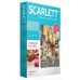 Весы кухонные SCARLETT SC-KS57P62 (8кг)